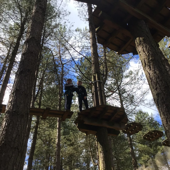 go ape