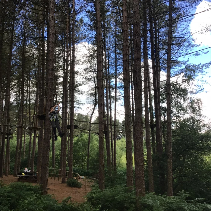 go ape