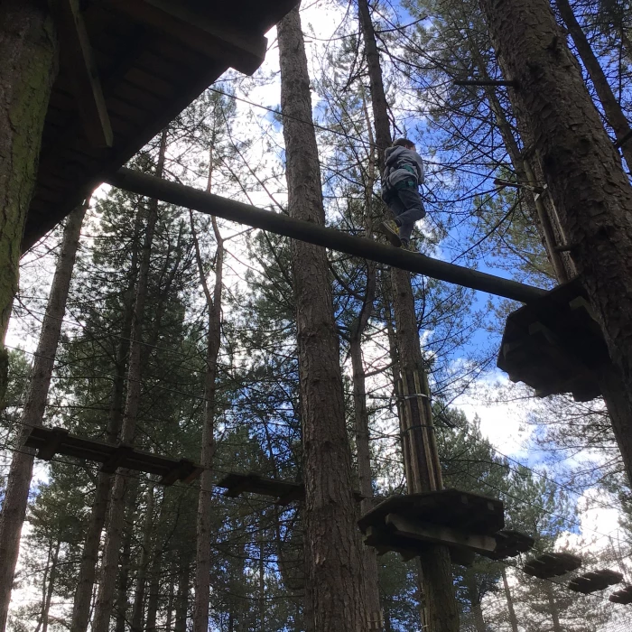 go ape