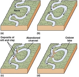 gowy diagram of oxbow lake 1