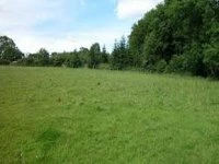 green belt land