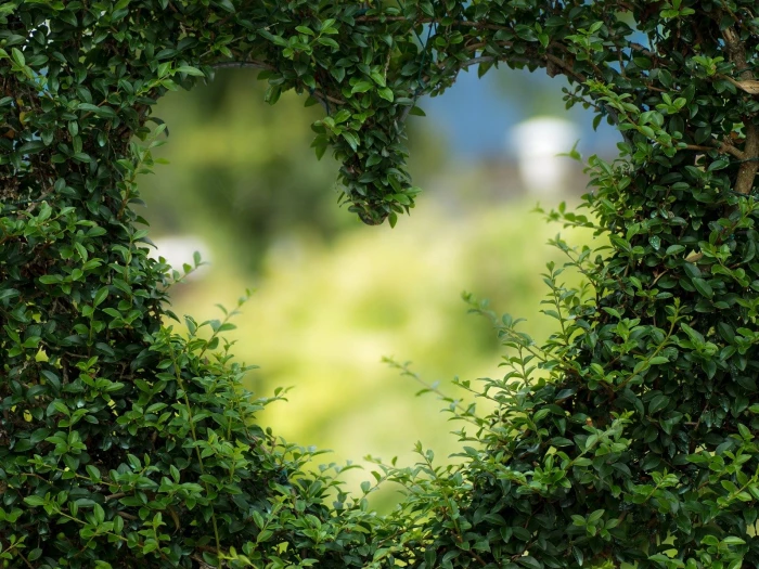 green heart