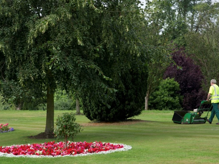 green spaces