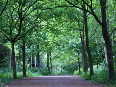 groanswalktarvinwoodland