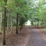 grogan39s walk