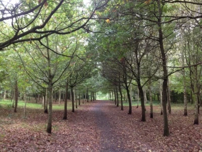 grogan39s walk1