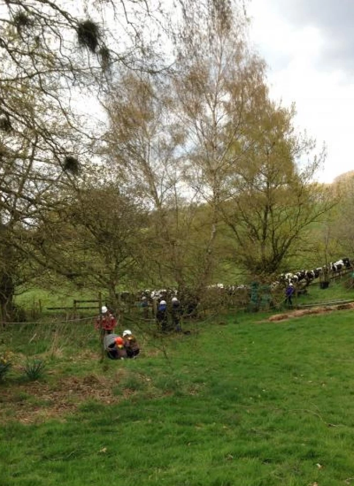 guides and brownies at maer1190425