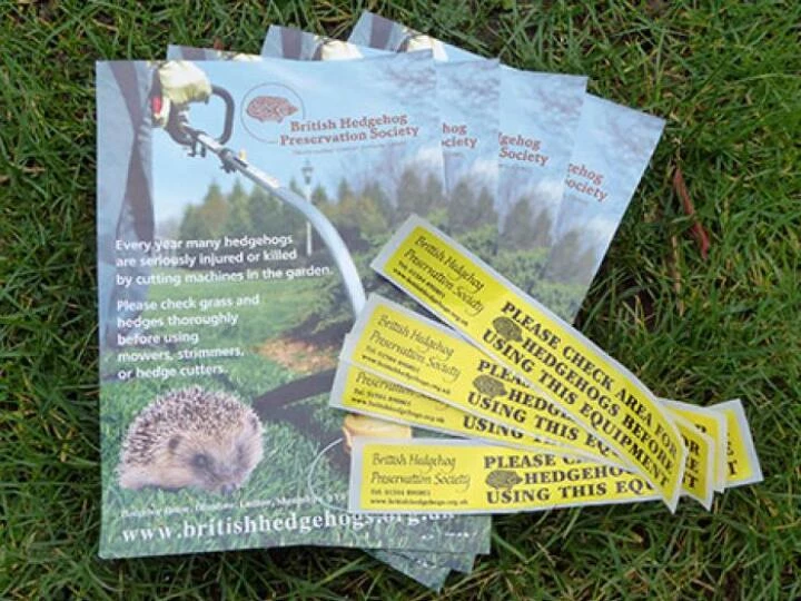hedgehoginitiativeflyers