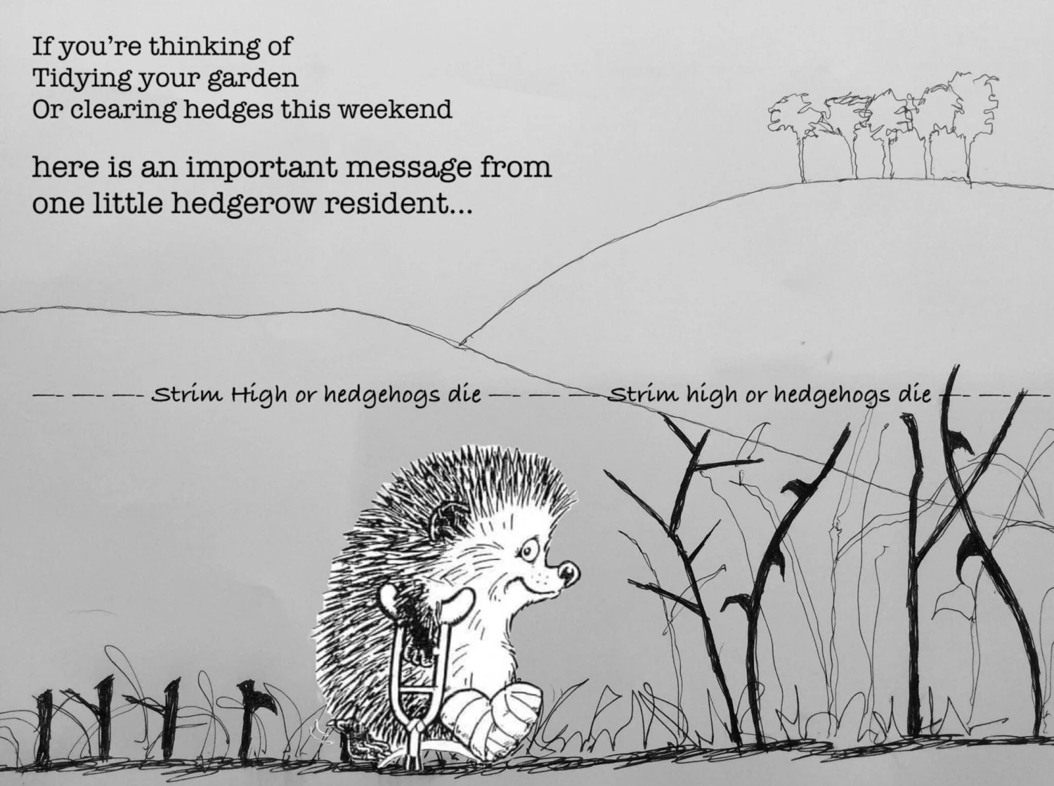 hedgehogs and strimming