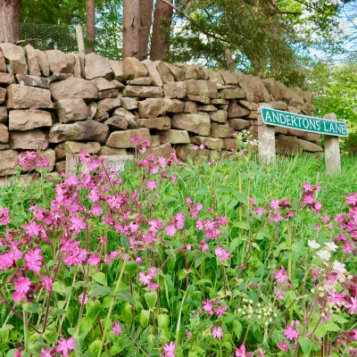 henbury onlineimage