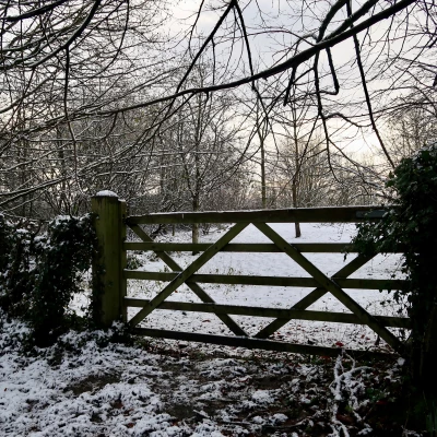 henbury onlineimage