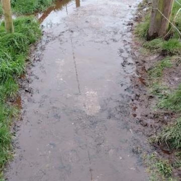 henwhifootpath2