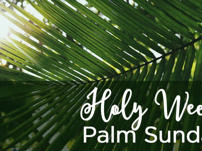 holy week  psalm sunday