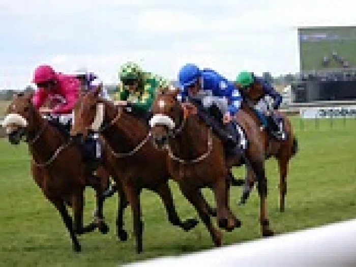 horse race