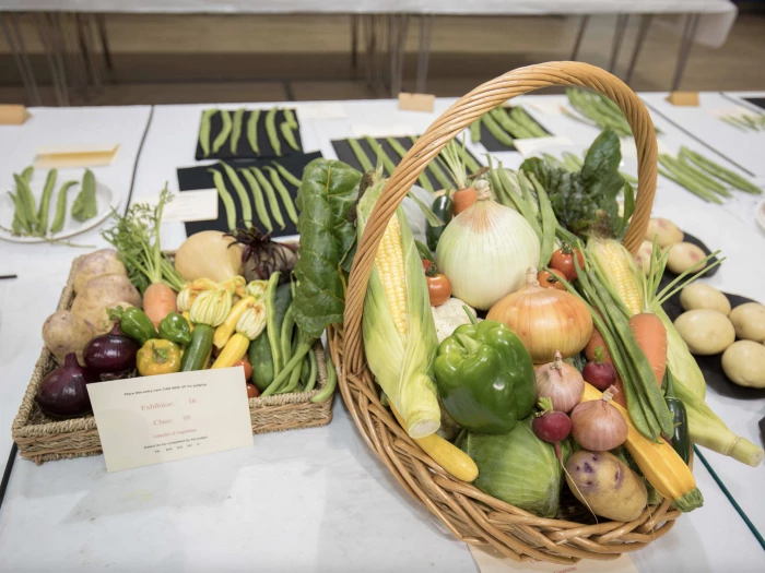 horticultural showautumn 02