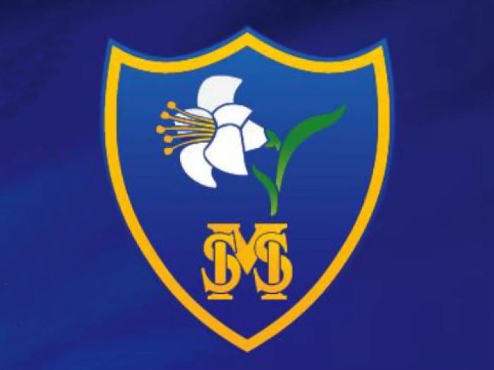 hstm school logo