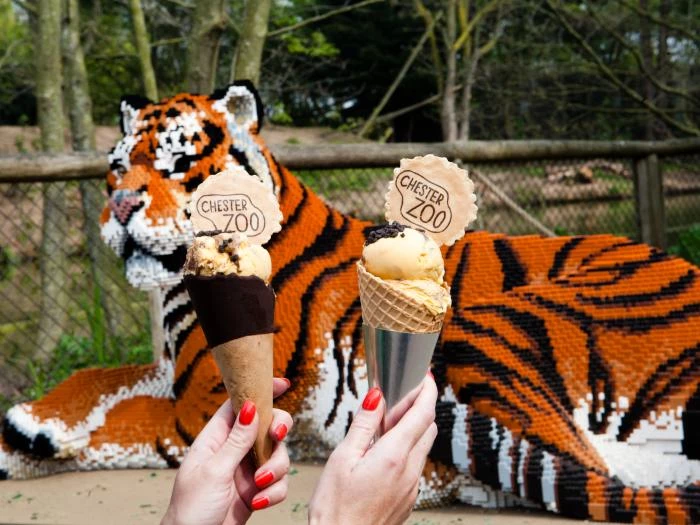 icecream tiger