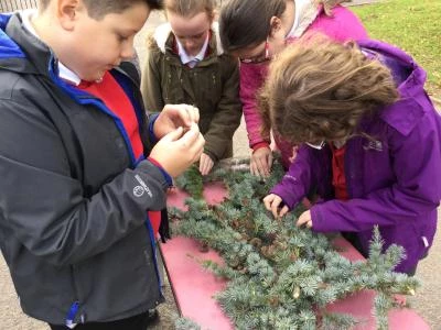 image 011bcab9937b4f638c2e90b8b6885421