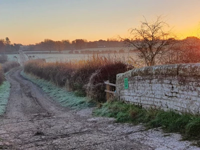 image 20211125080438