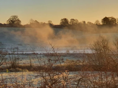image 20211125082405