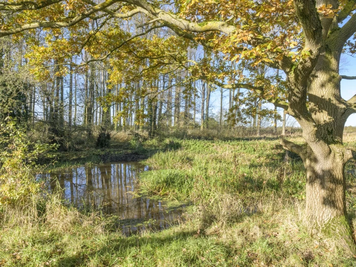 image 20231111 112910