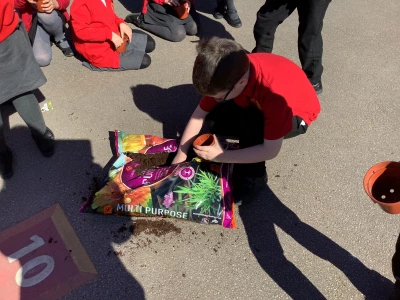 image 2414f83351da4ce2b9e2198a30540b9e