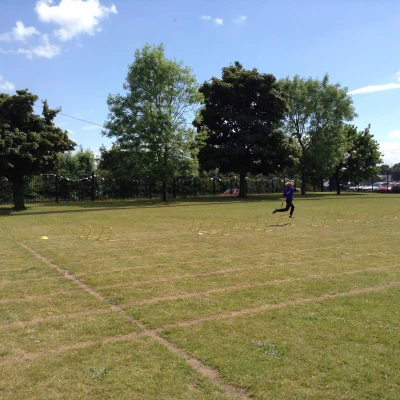image 3921