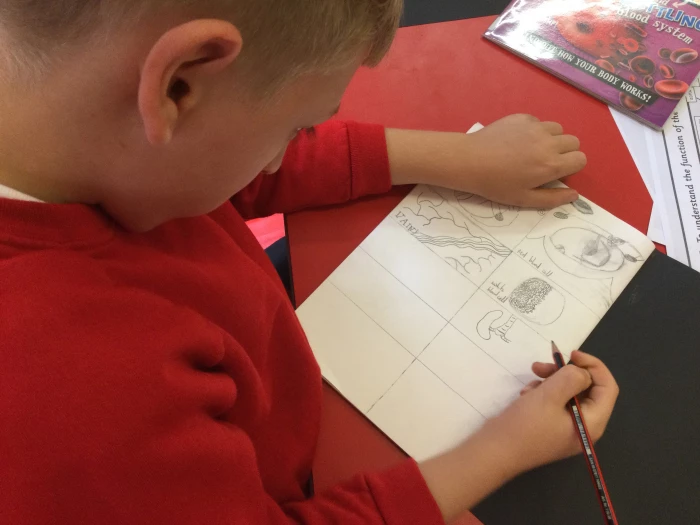 image 5d83e6c60f6a4a7f9039f9a213396864