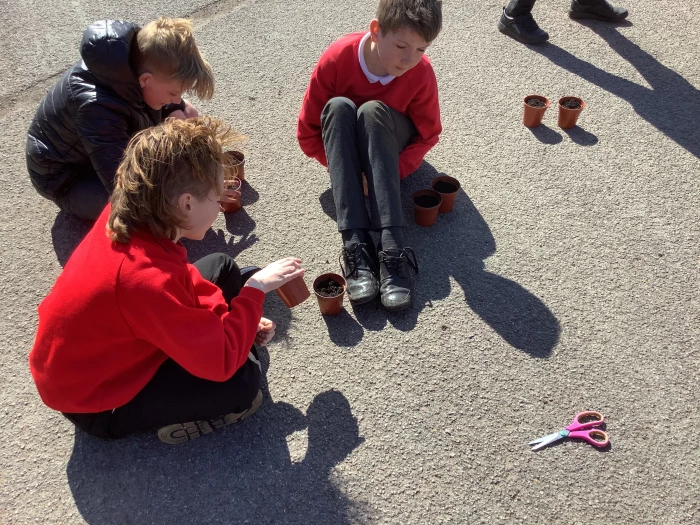 image 7772bd584ca04ef9830aa14eb94c228b