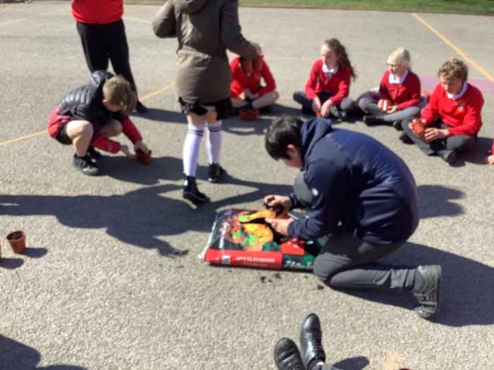 image 80d6cb48437b49249bd67972d3a64171