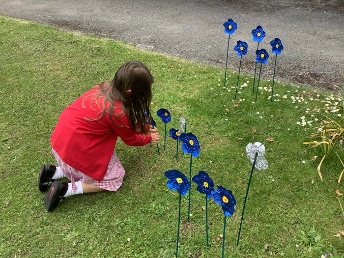 image 85537b50d39d449fb9d1cdda85cf94ee