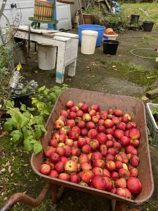 image1313