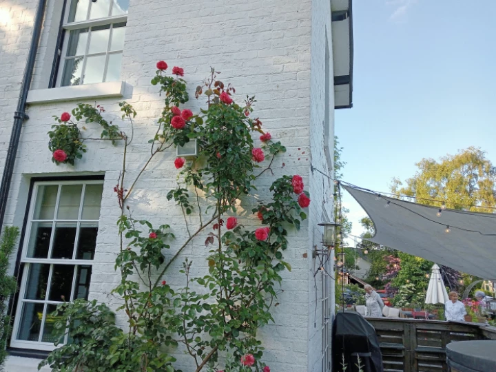 image20240612191202