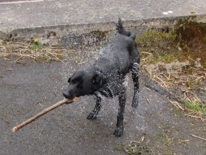 image4734 2