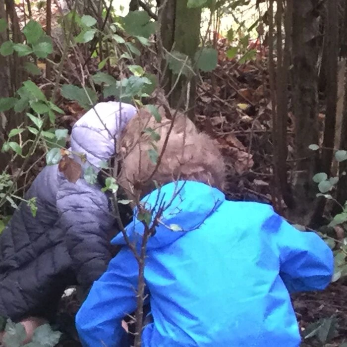 image95761bug hunting 7