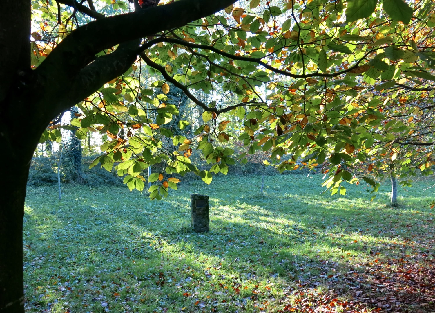 jims memorial stone autumn 2021