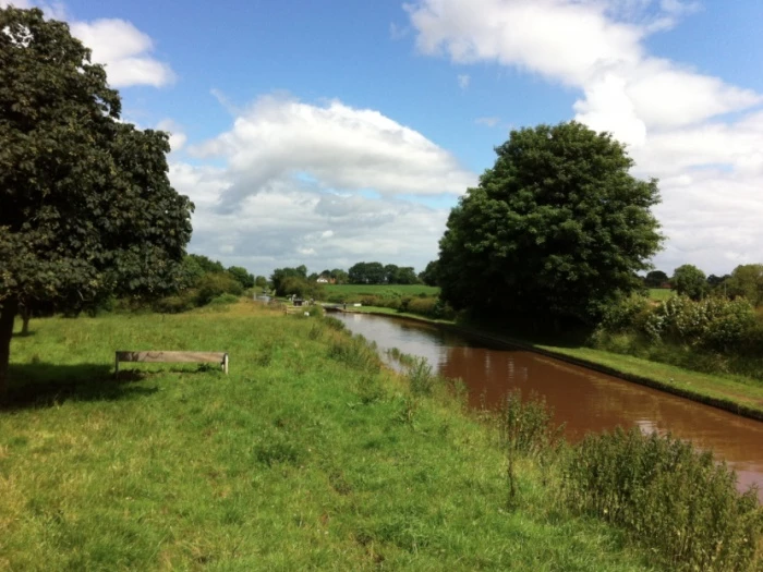 june walk