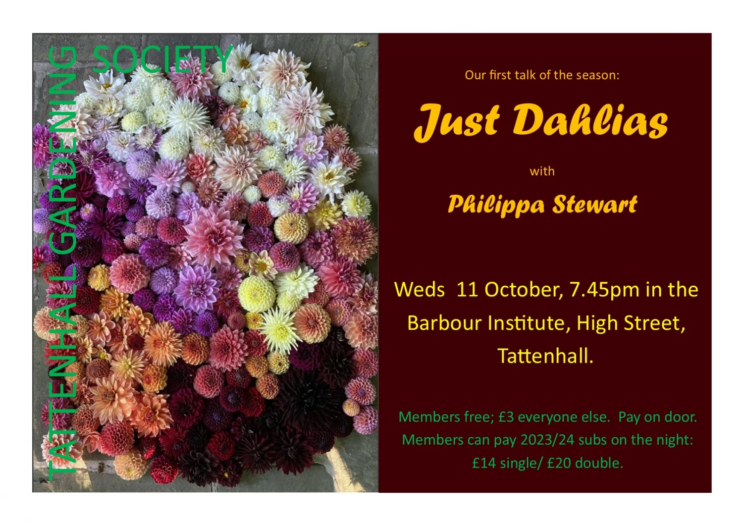 just dahlias