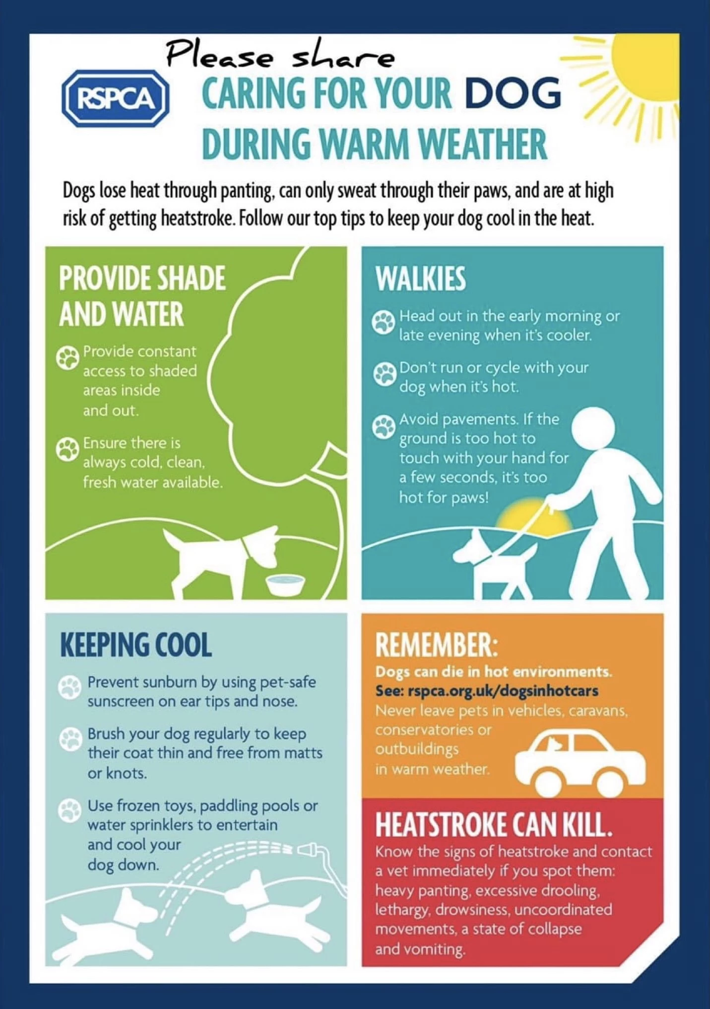keep pets safe