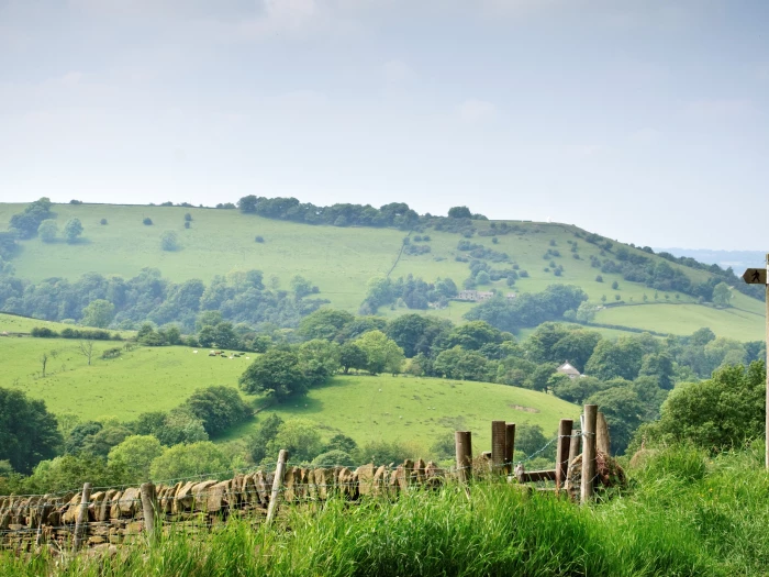 landscape and signpost