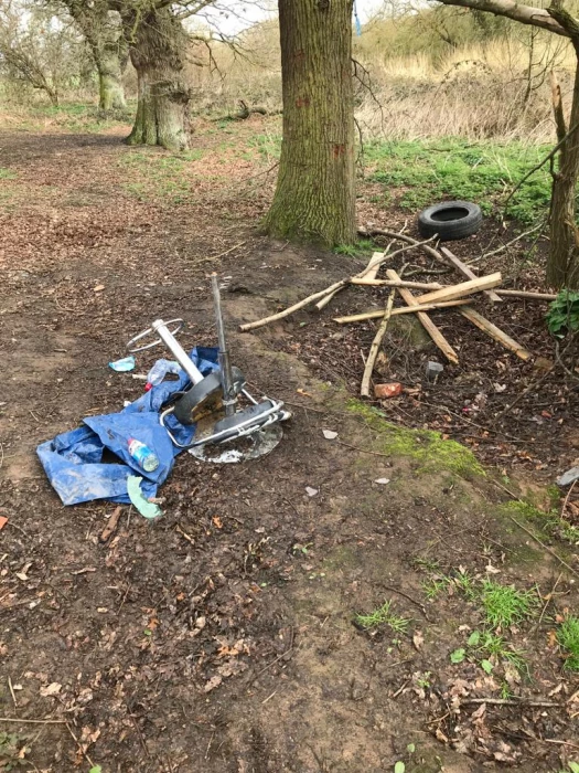 litter 2