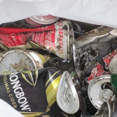litter1 1
