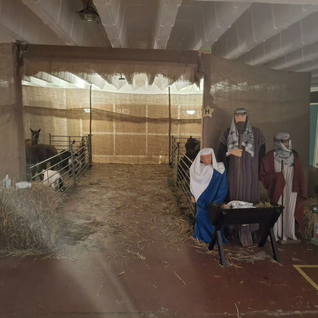 live nativity stable