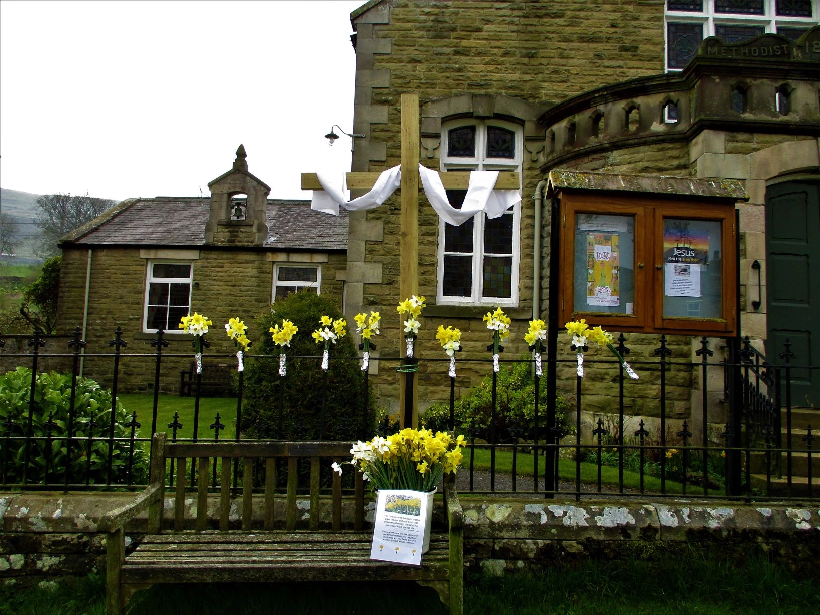 lizhaythornthwaite2