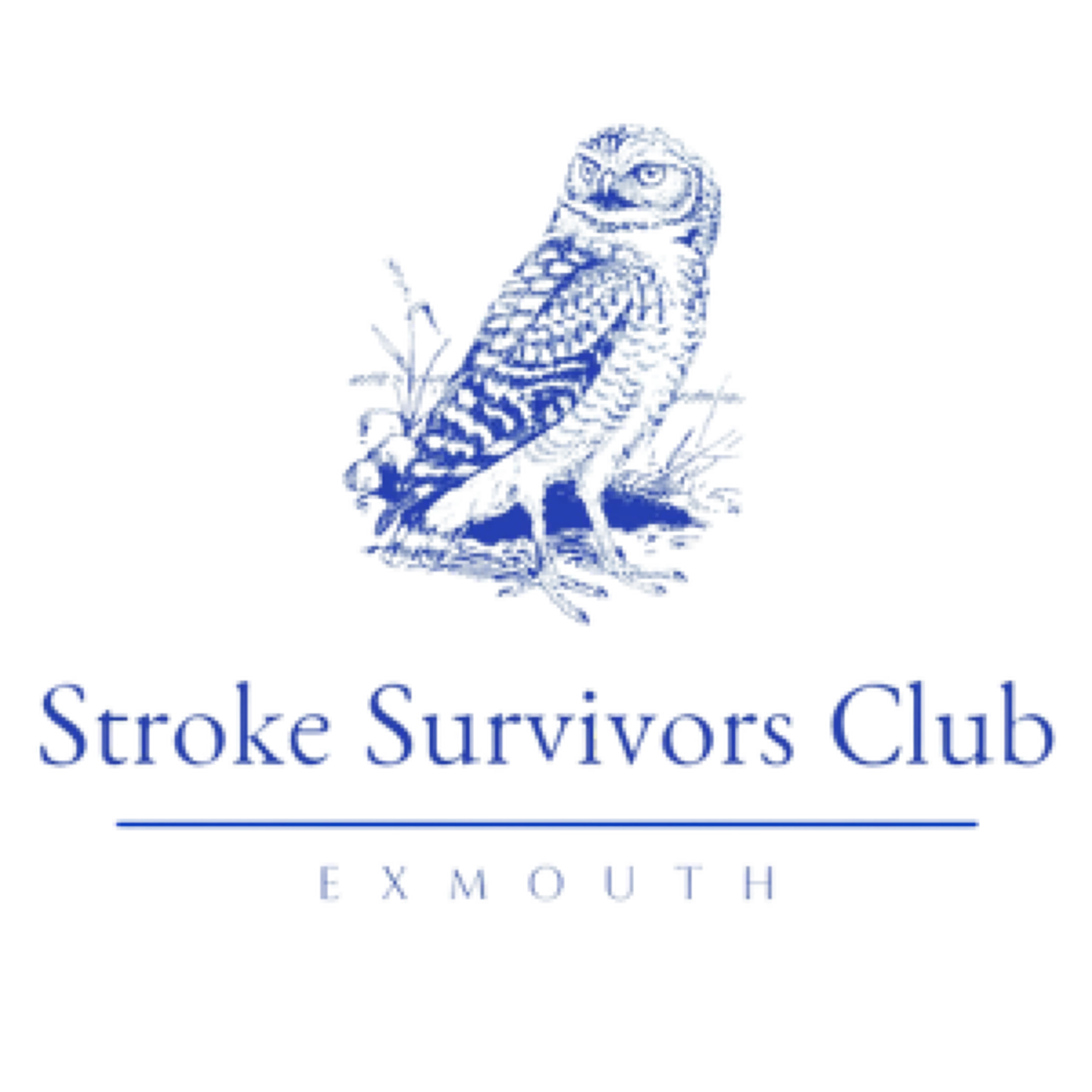 Exmouth Stoke Survivors Club Logo Link