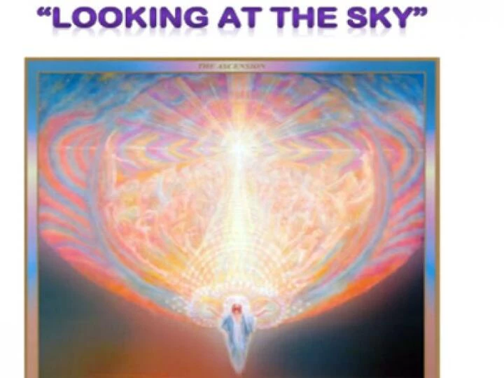 looking