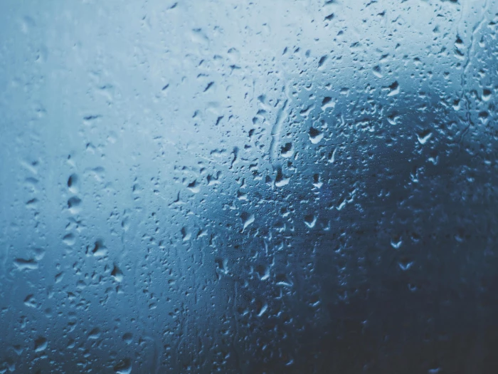 macro photography of water dew of glass