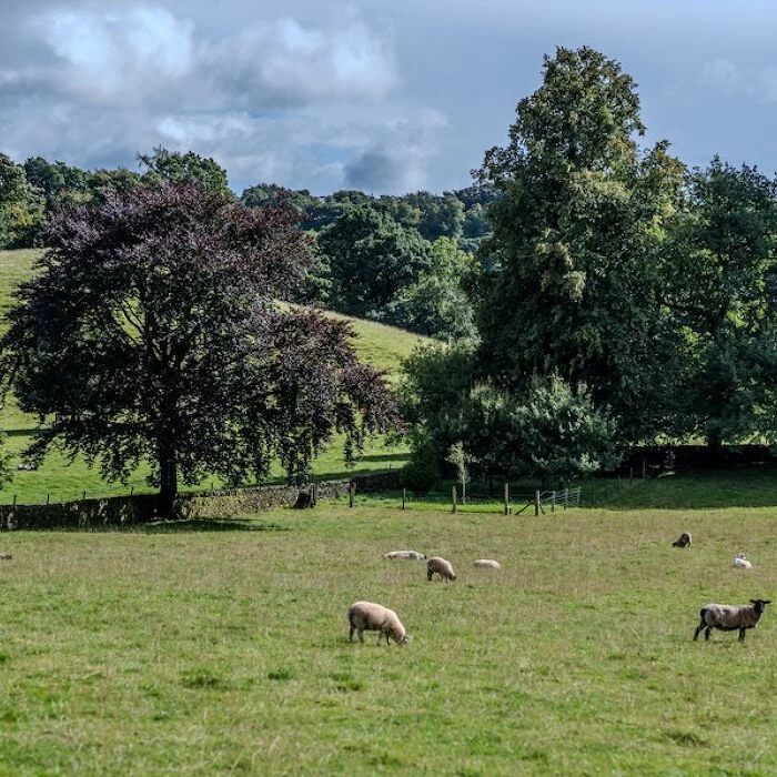 mellor knowl farm56