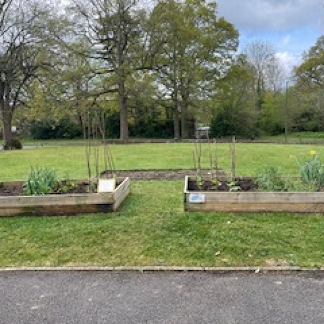 merrow community garden  april 25 main