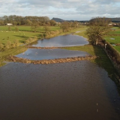mill brook 1